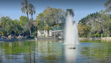 Parc Belvedere