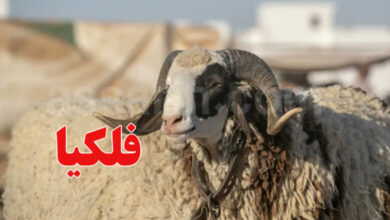 aid-el-adha-780x470