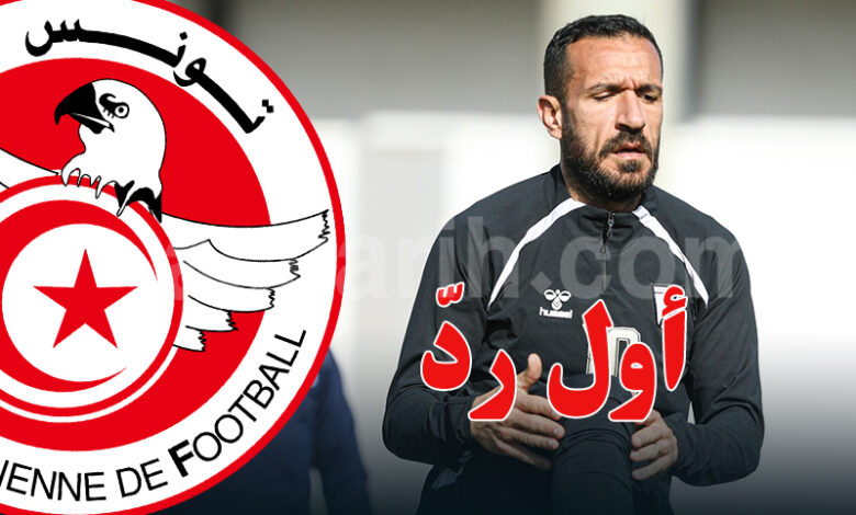 ali maaloul