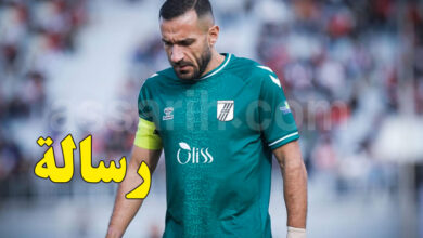 ali maaloul