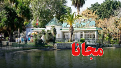 belvedere tunis