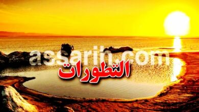 meteo-tunisie-3-780x470 (7)