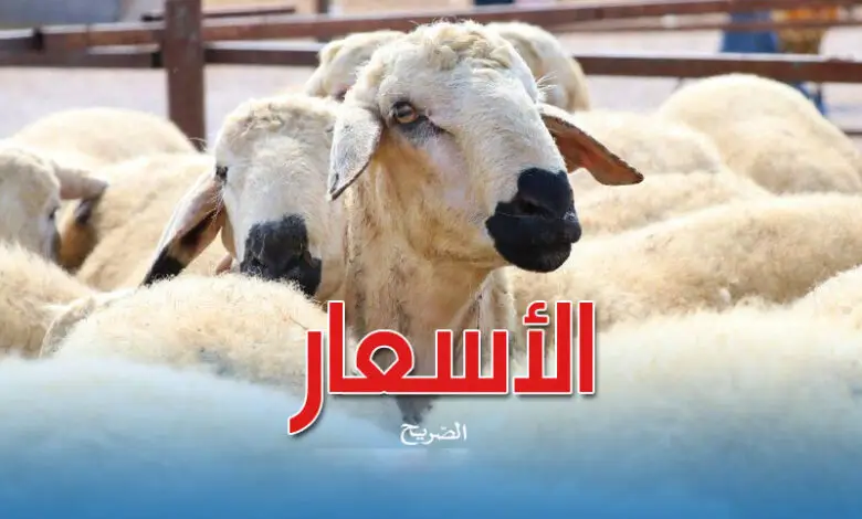 moutons-eid-idhha-1-780x470