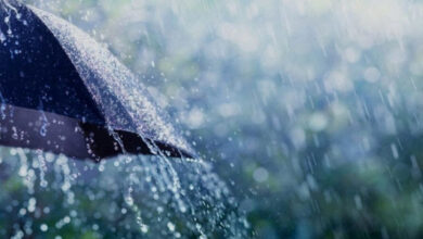 pluie