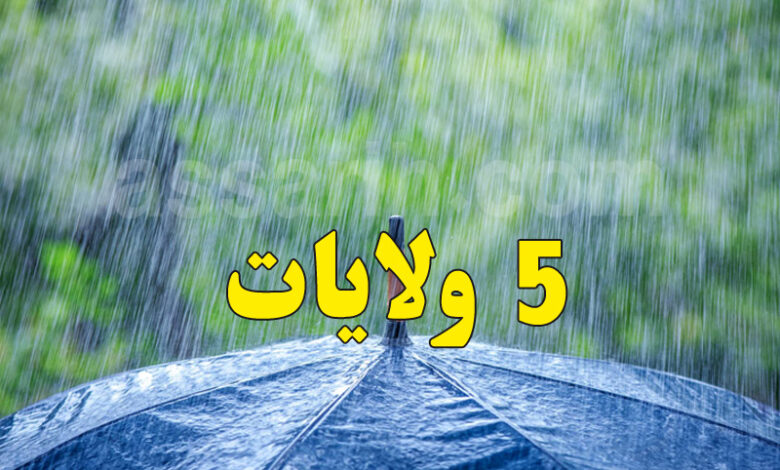 pluie