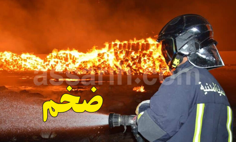 proteciion civile