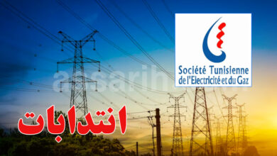 societe tunisienne d'electricite et du gaz