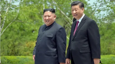 xi jinping kim jong un