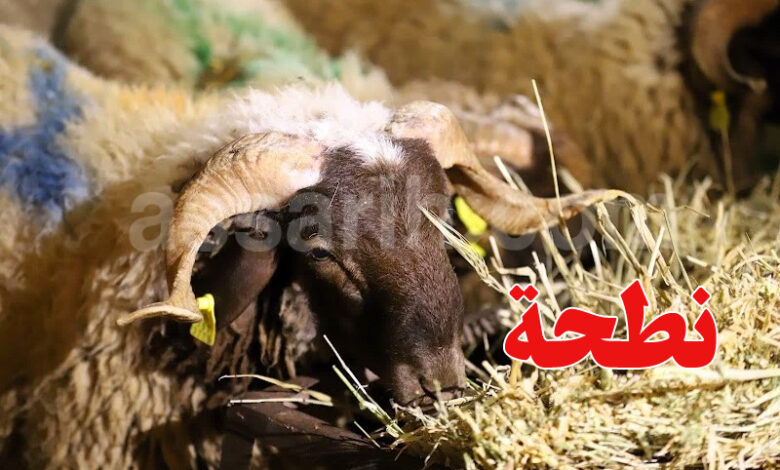 Aid Idhaa moutons