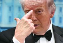 Donald-Trump-4-780x470-2