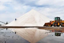 Extraction du sel En Tunisie