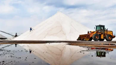 Extraction du sel En Tunisie