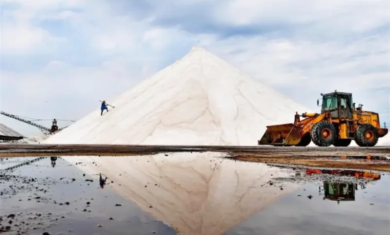 Extraction du sel En Tunisie