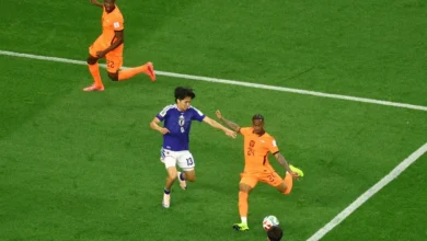 Japon VS Pays BAS