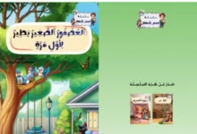 Le Petit oiseau contes pour enfants