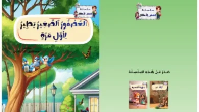 Le Petit oiseau contes pour enfants