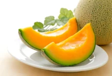 Melon En Tunisie
