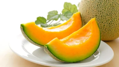Melon En Tunisie