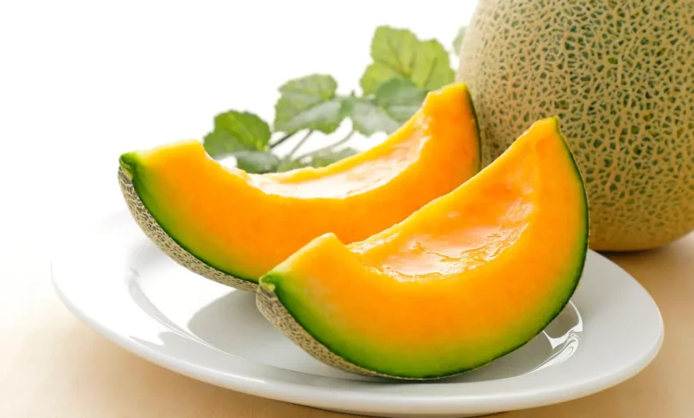 Melon En Tunisie
