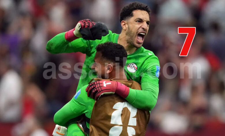 Mostafa Shobeir