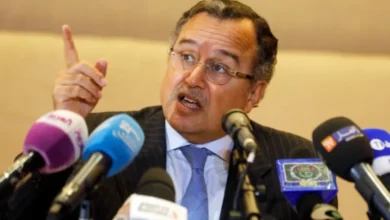 Nabil Fahmi