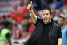 Nabil Maaloul