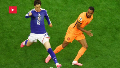 Pays Bas VS Japon