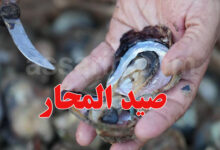 Pêche aux huîtres Medenine Tunisie