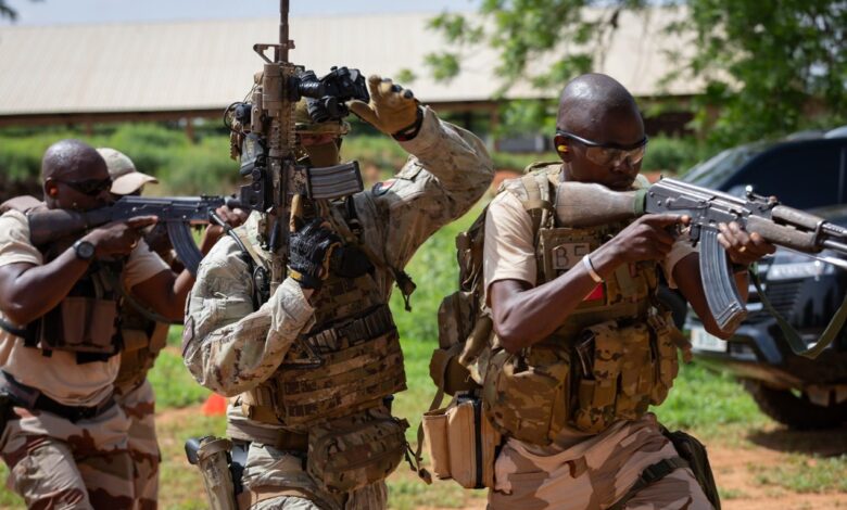 armée niger