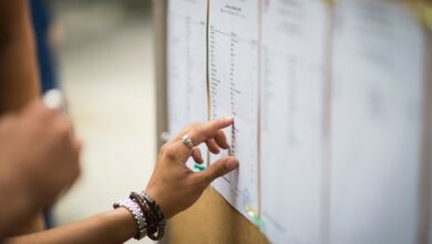 baccalauréat