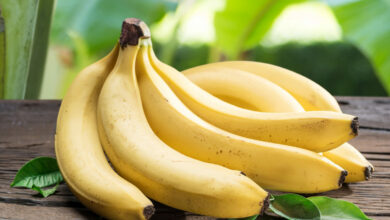 banane Tataouine Tunisie