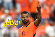 cody gakpo netherlands