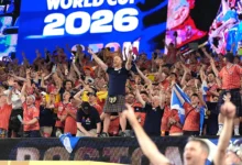 coupe du monde public