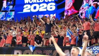 coupe du monde public