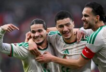 equipe nationale algerie