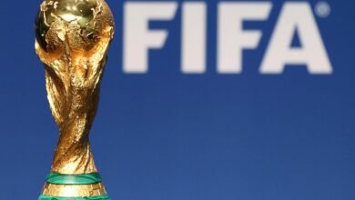 federation internationale de football association (fifa)