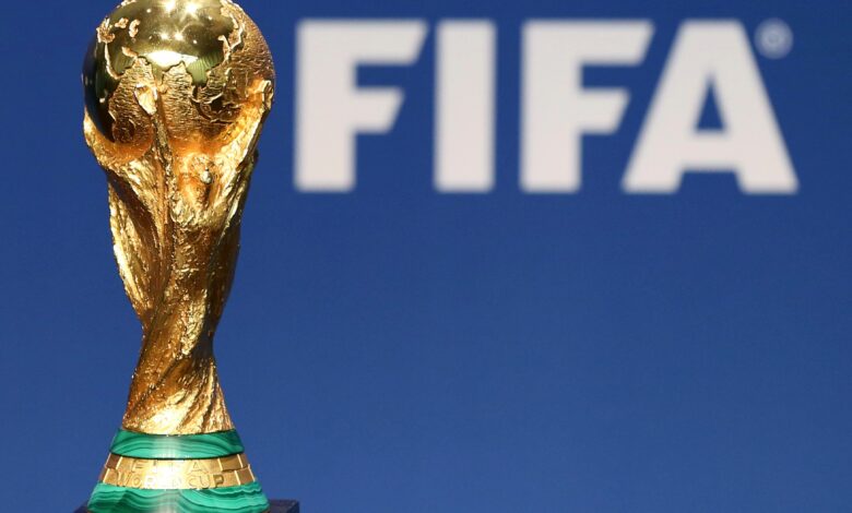 federation internationale de football association (fifa)