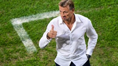 herve renard