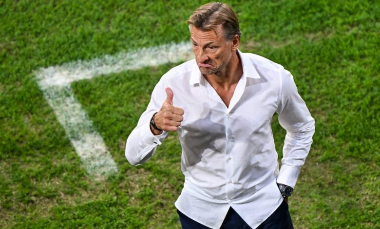 herve renard