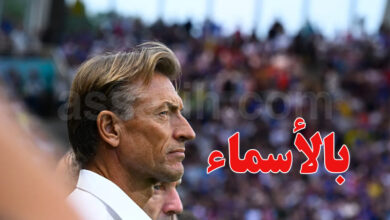 hervé renard