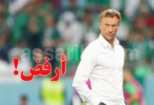 hervé renard