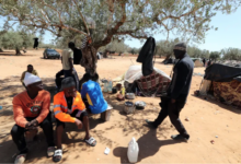 immigration Tunisia