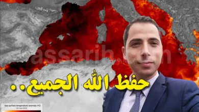 mehrez-ghannouchi-780x470