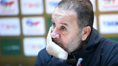 nabil-maaloul