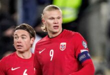 norvege foot
