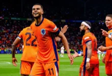 pays bas foot