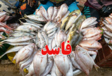 poisson