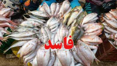 poisson