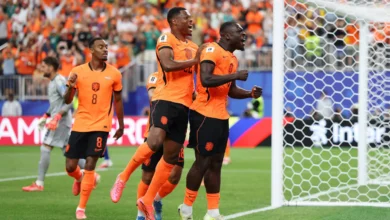suède vs pays bas