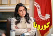 tulsi gabbard